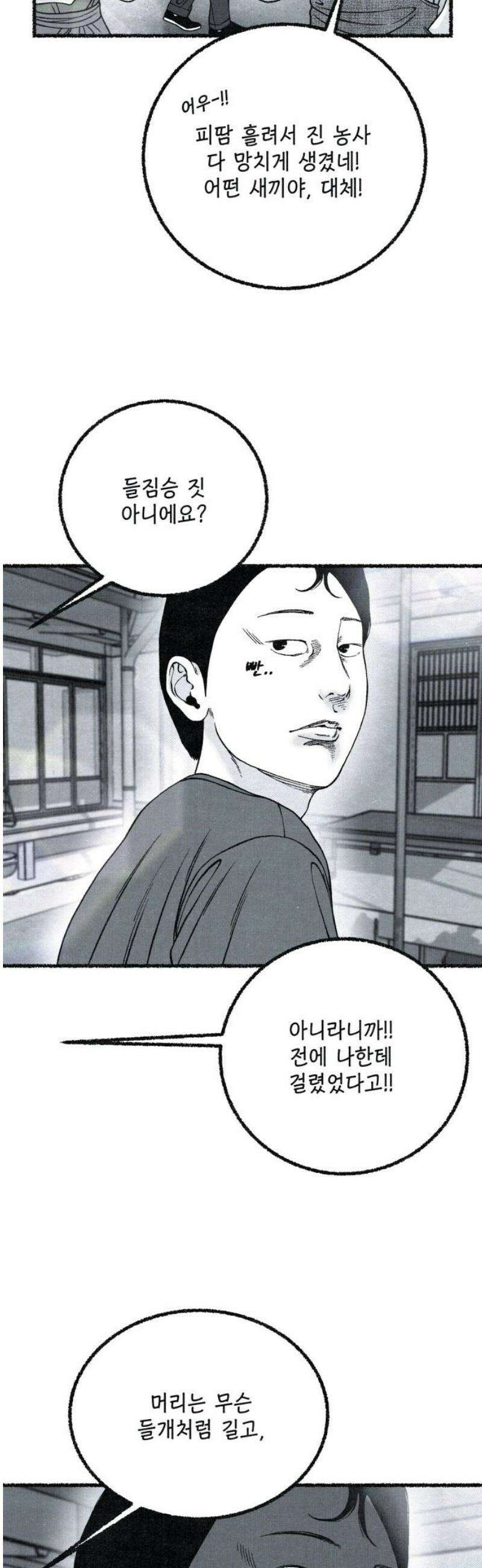 벌집 73화 12