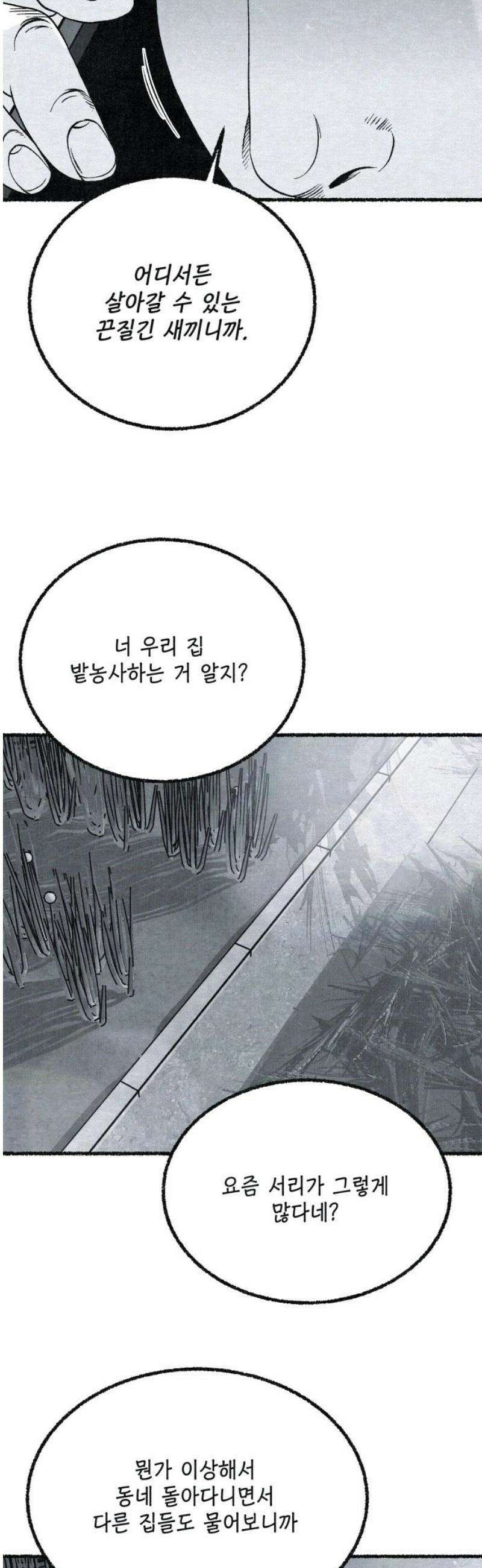 벌집 73화 23