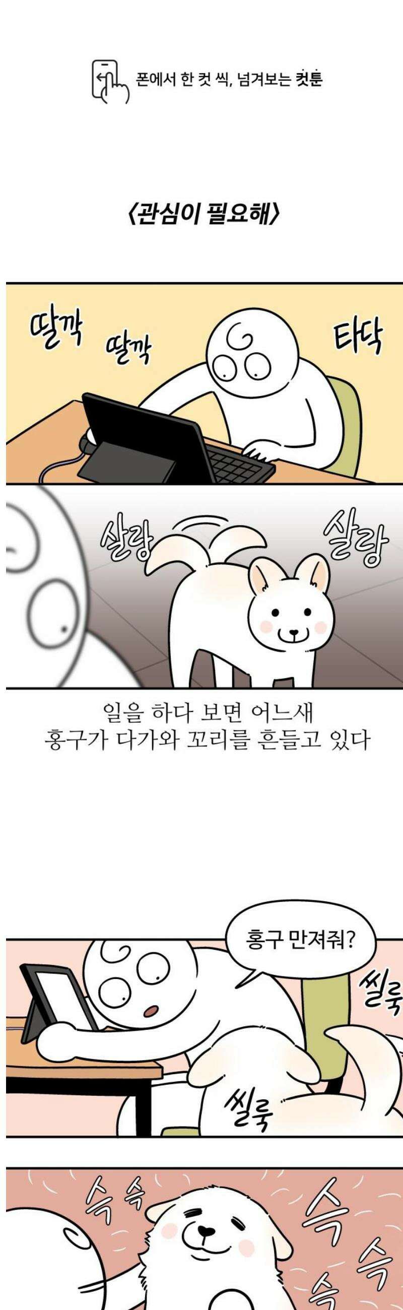 노곤하개 쇼츠 관심이 필요해 1