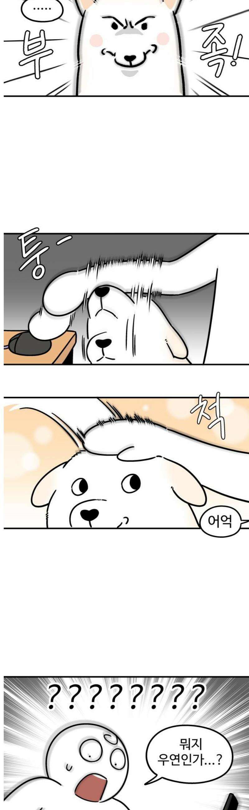 노곤하개 쇼츠 관심이 필요해 3