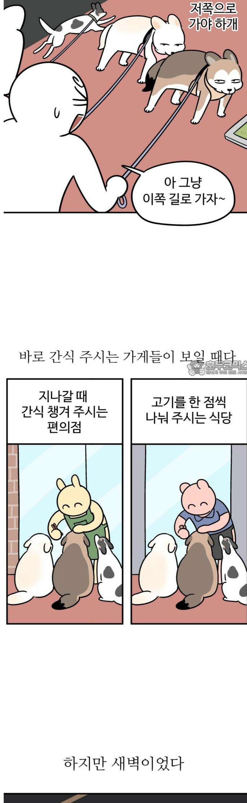 노곤하개 쇼츠 관심이 필요해 6