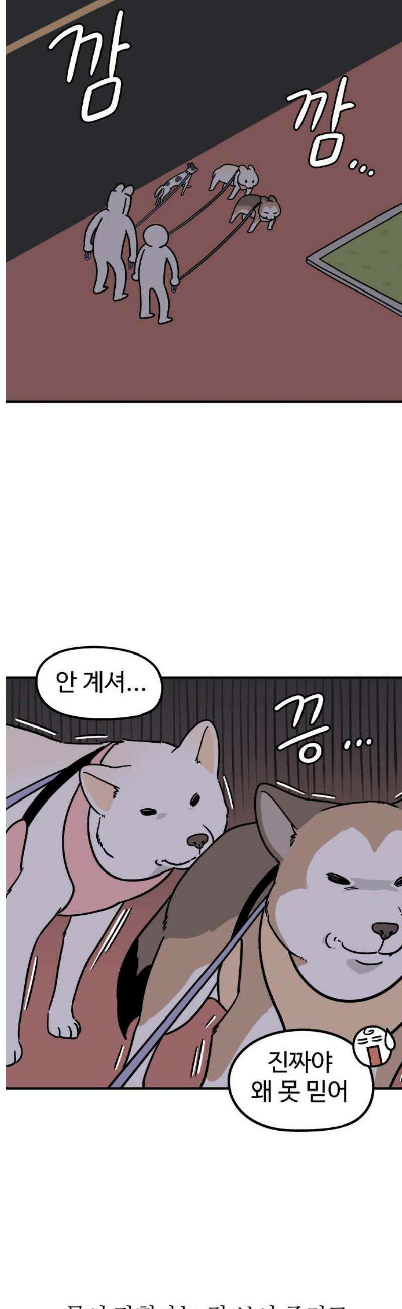 노곤하개 쇼츠 관심이 필요해 7