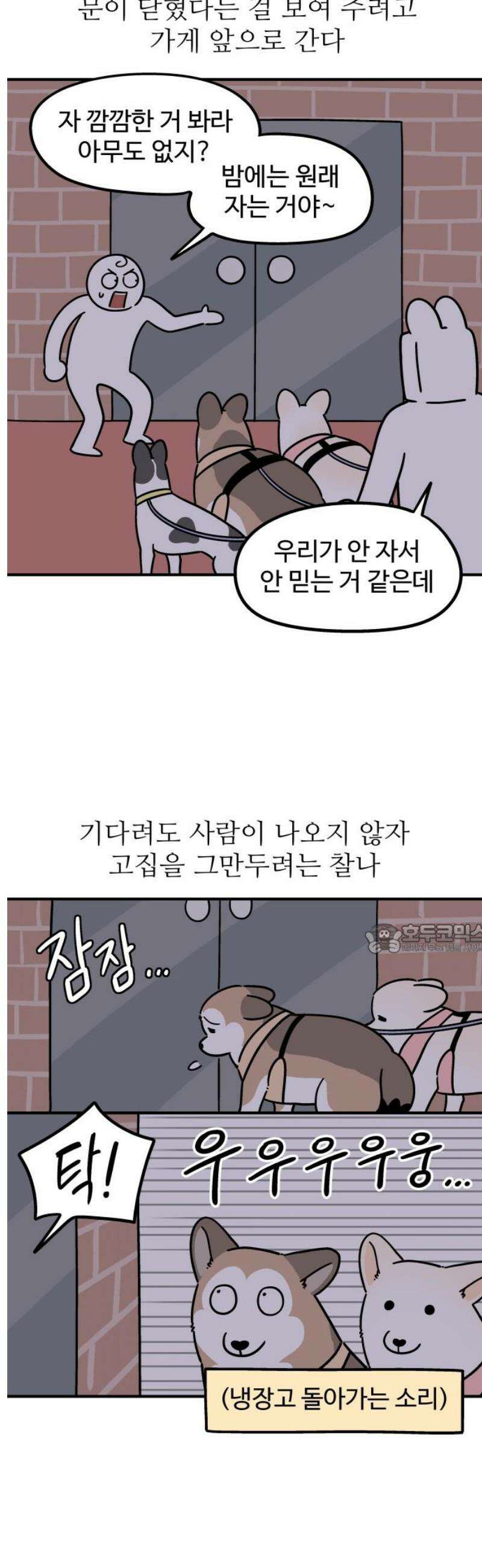 노곤하개 쇼츠 관심이 필요해 8