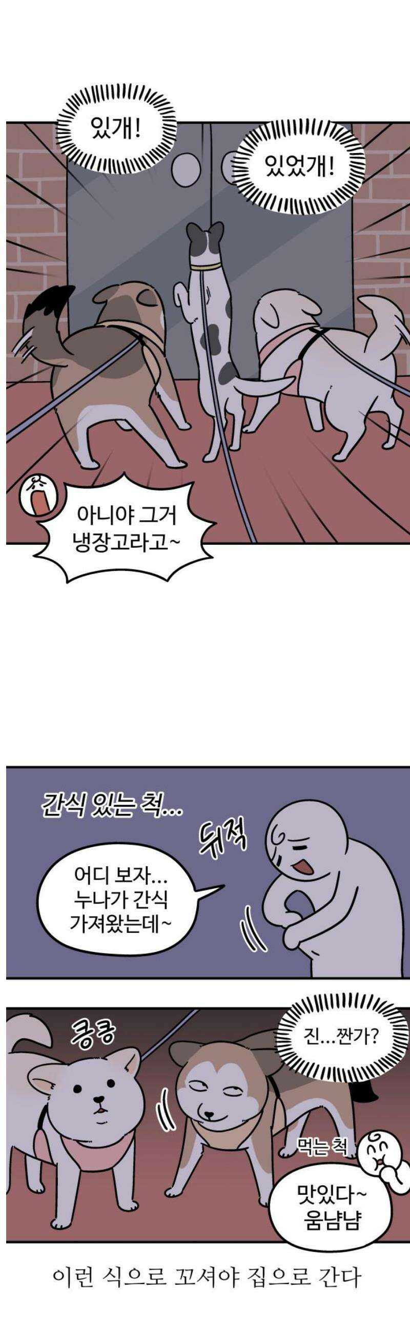 노곤하개 쇼츠 관심이 필요해 9