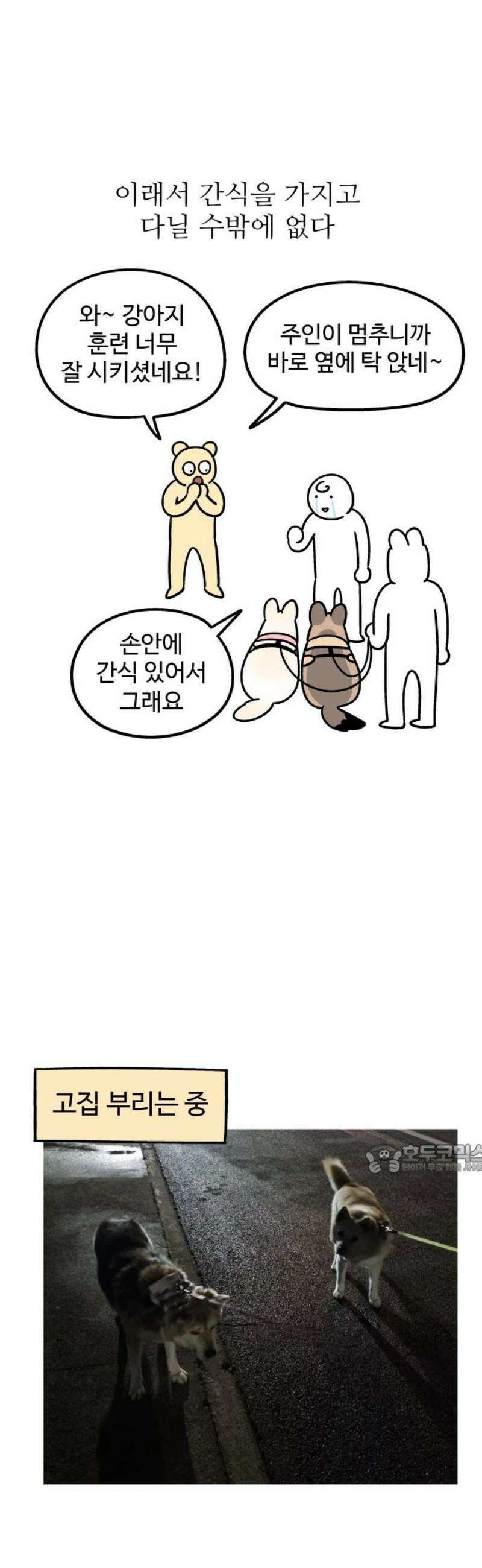 노곤하개 쇼츠 관심이 필요해 10