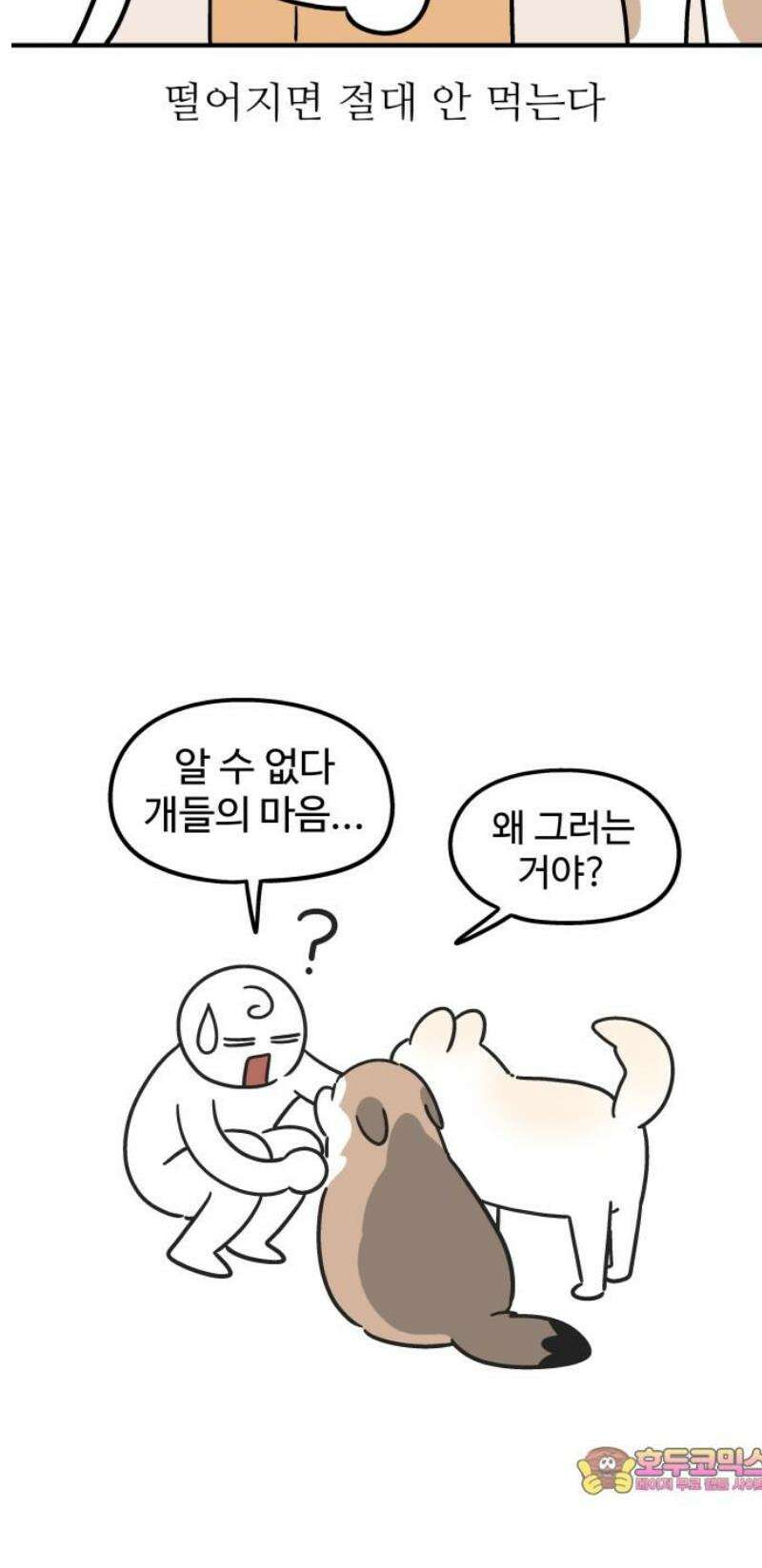 노곤하개 쇼츠 관심이 필요해 12