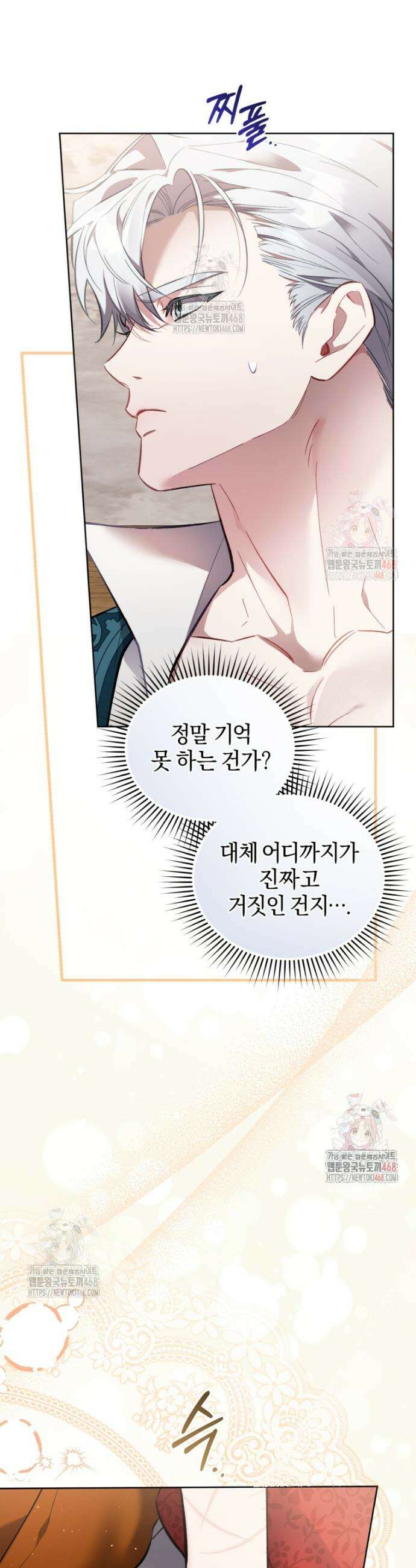 걱정 마세요, 합의된 사기 결혼입니다 33화 11