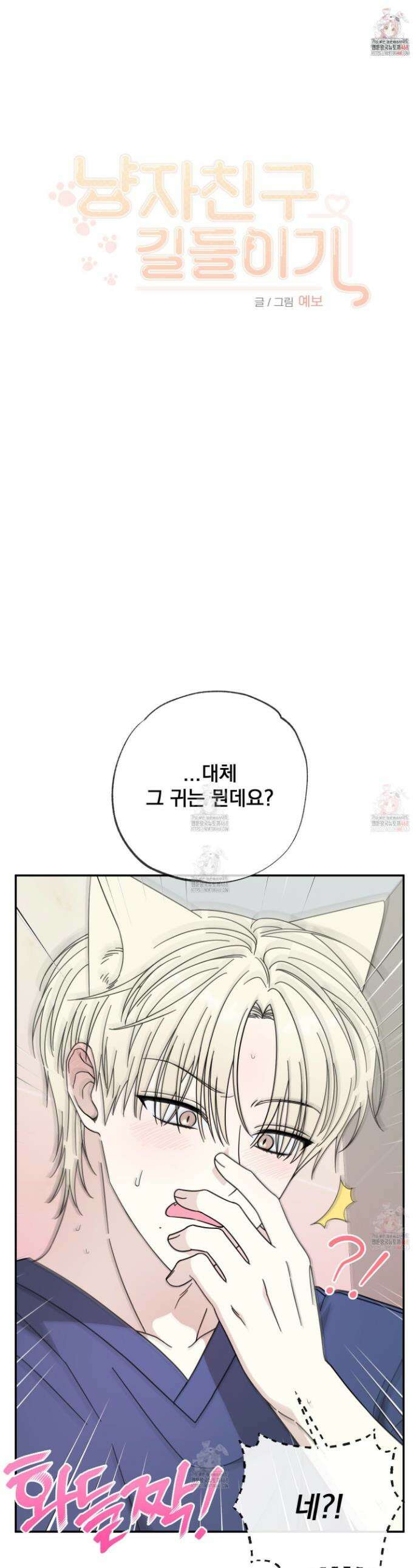 냥자친구 길들이기 2화 1