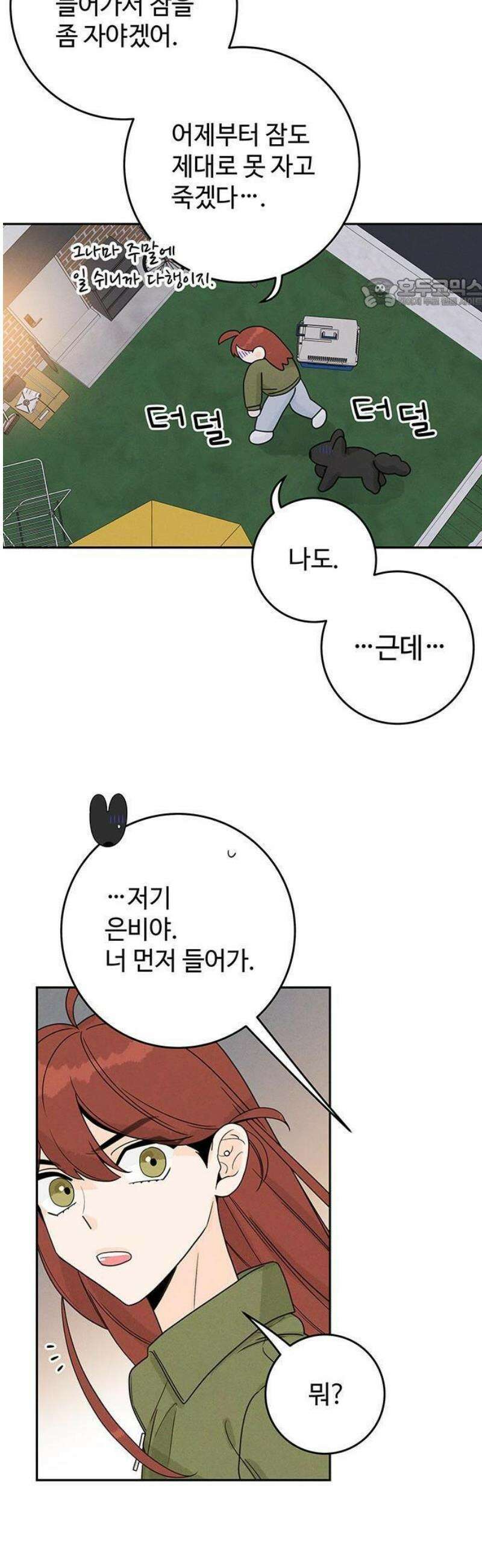 요괴삼월 5화 5