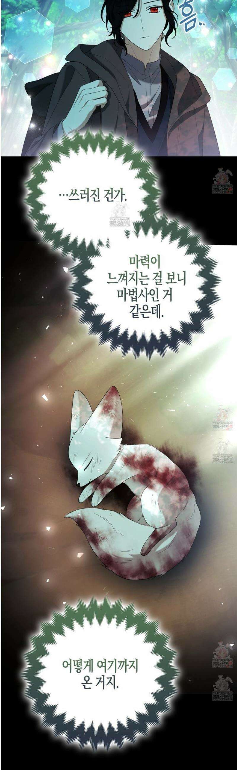 대공가의 여우 황녀님 77화 6