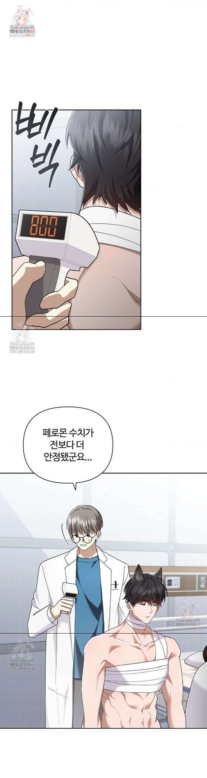 강아지는 건드리지 마라 44화 1