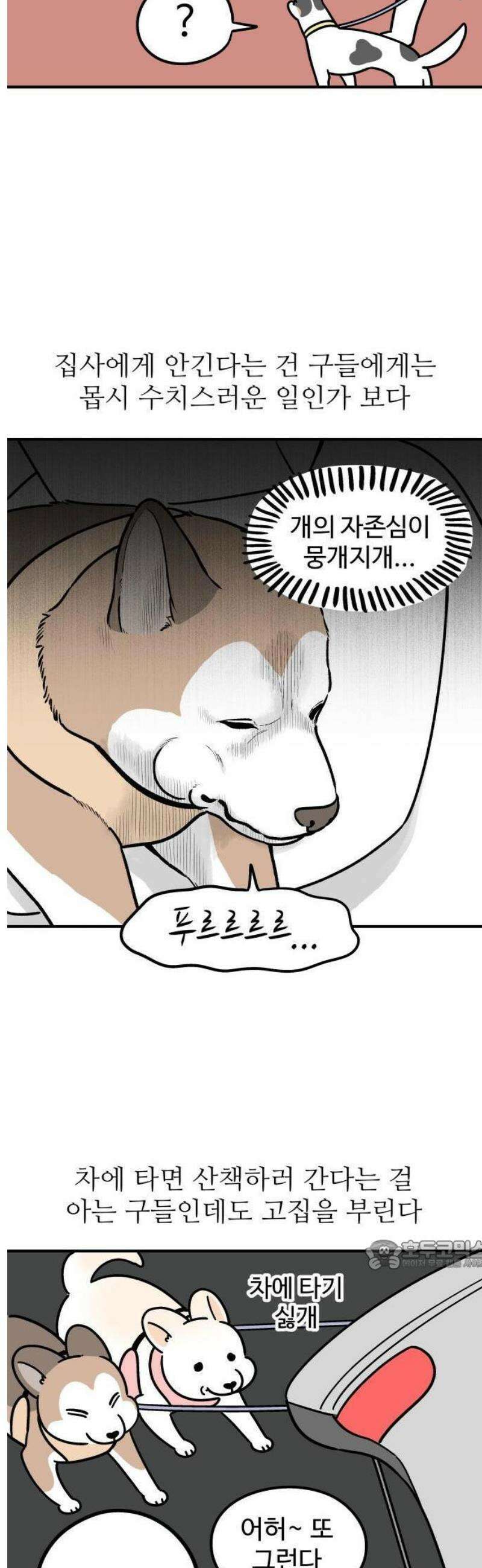 노곤하개 쇼츠 안기는 게 싫어 2