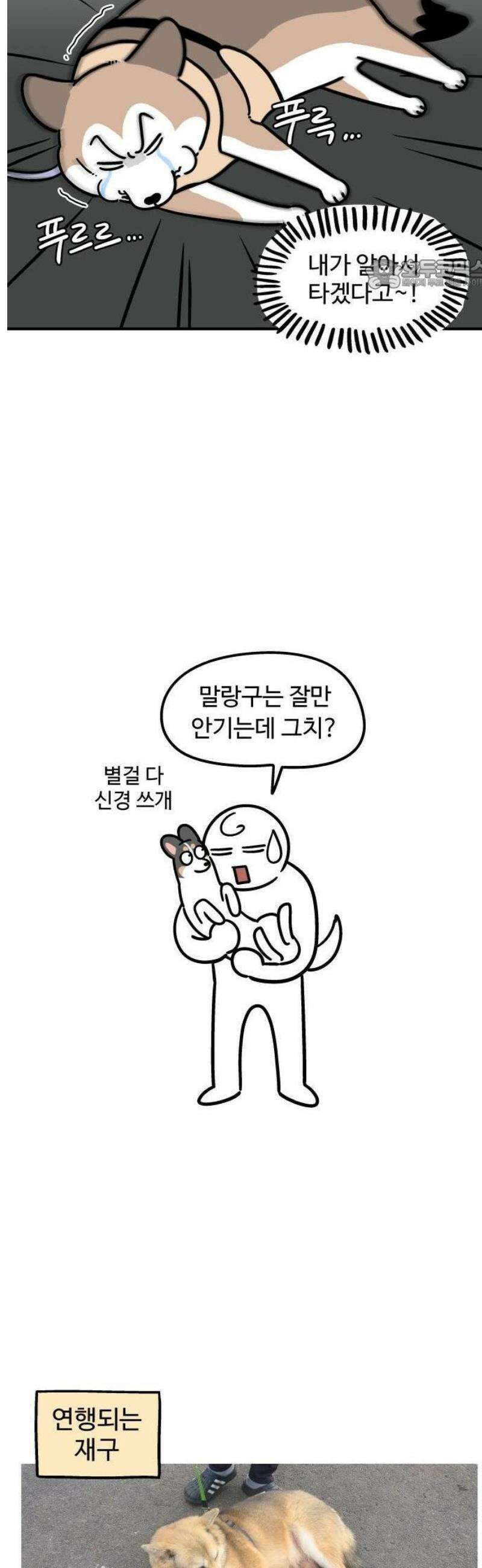 노곤하개 쇼츠 안기는 게 싫어 5