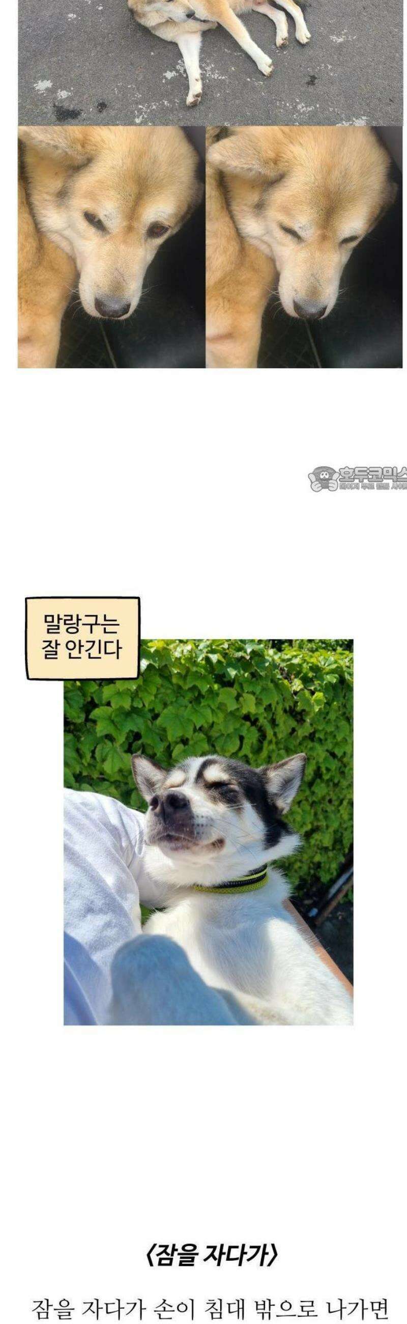 노곤하개 쇼츠 안기는 게 싫어 6