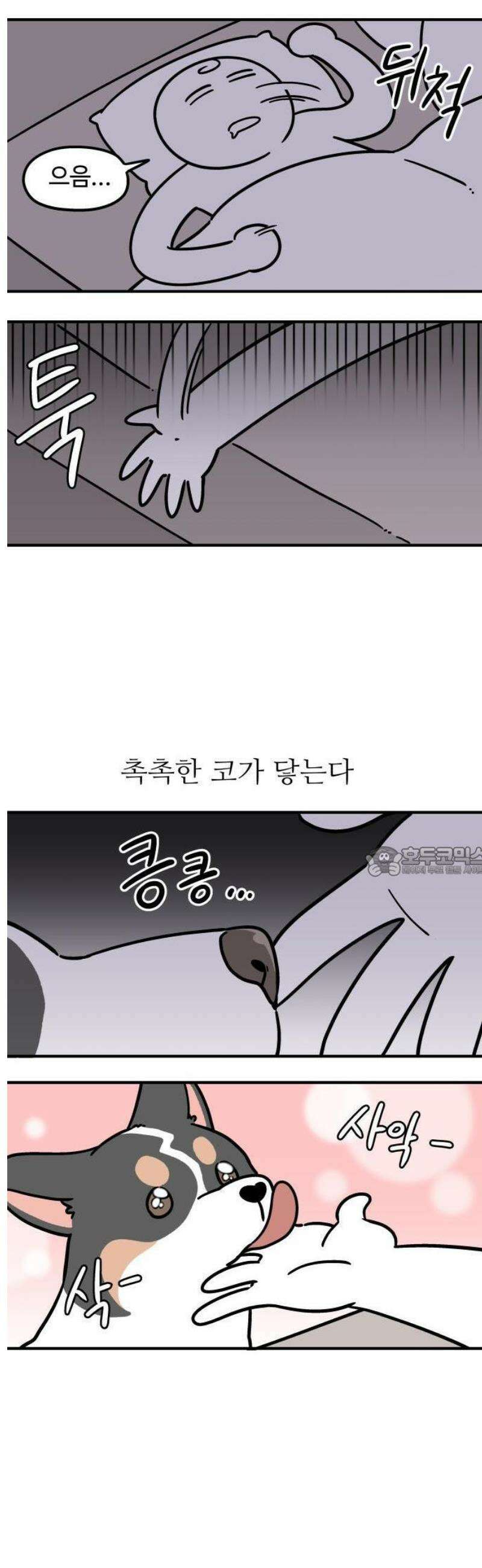 노곤하개 쇼츠 안기는 게 싫어 7