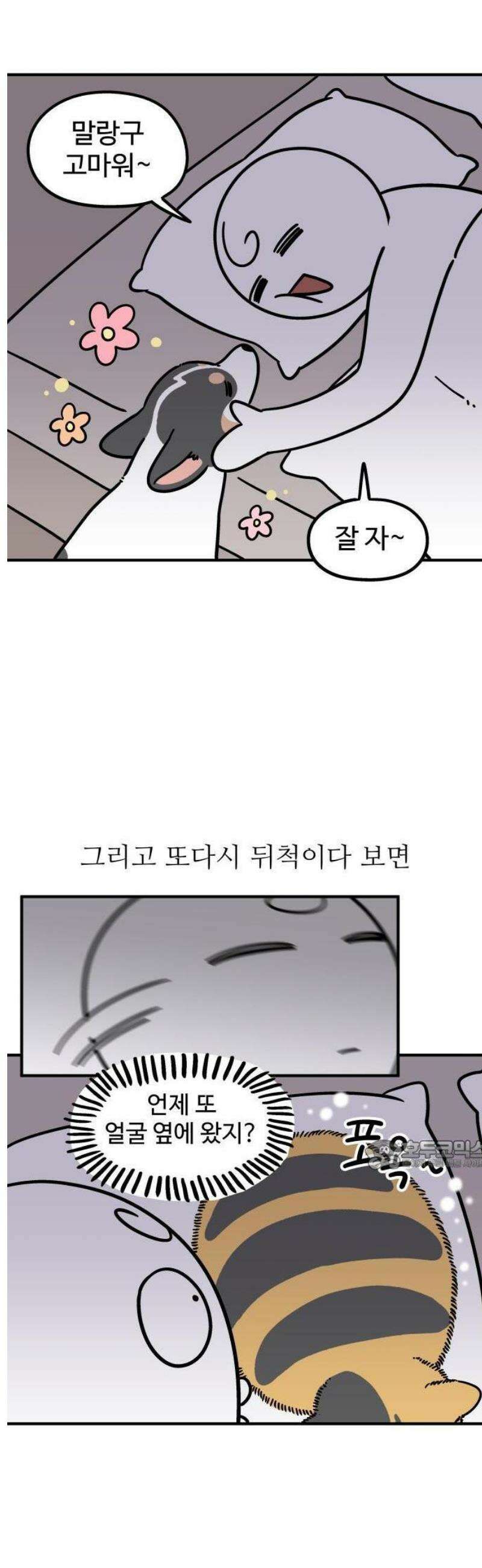 노곤하개 쇼츠 안기는 게 싫어 8