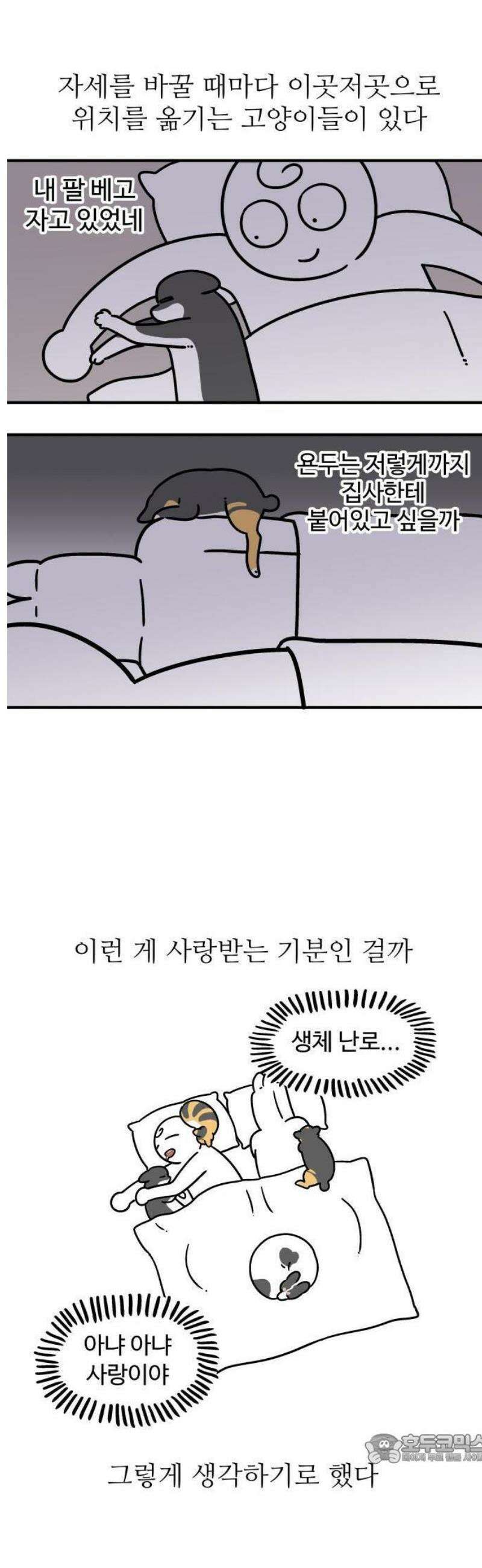 노곤하개 쇼츠 안기는 게 싫어 9