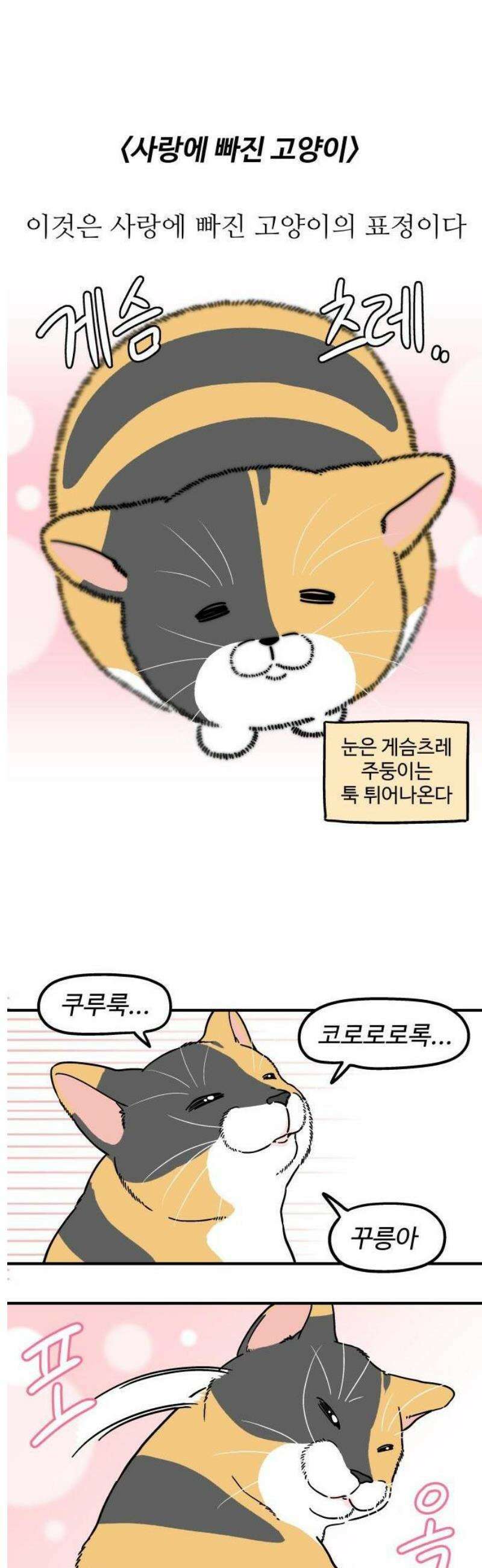 노곤하개 쇼츠 안기는 게 싫어 10