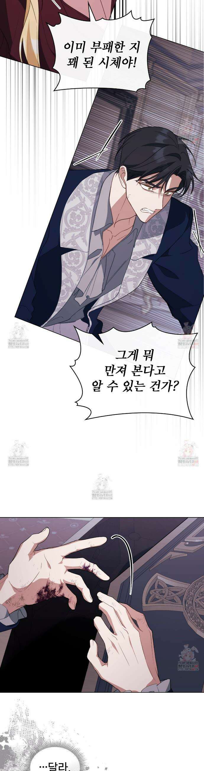 디에 멜루시네 59화 4