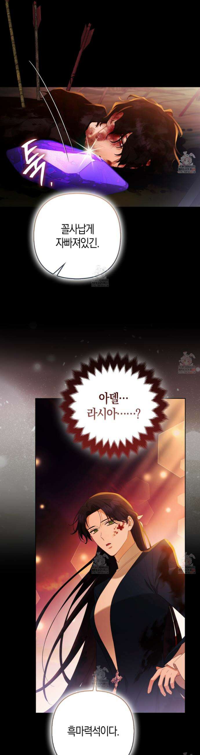 대공가의 여우 황녀님 79화 9
