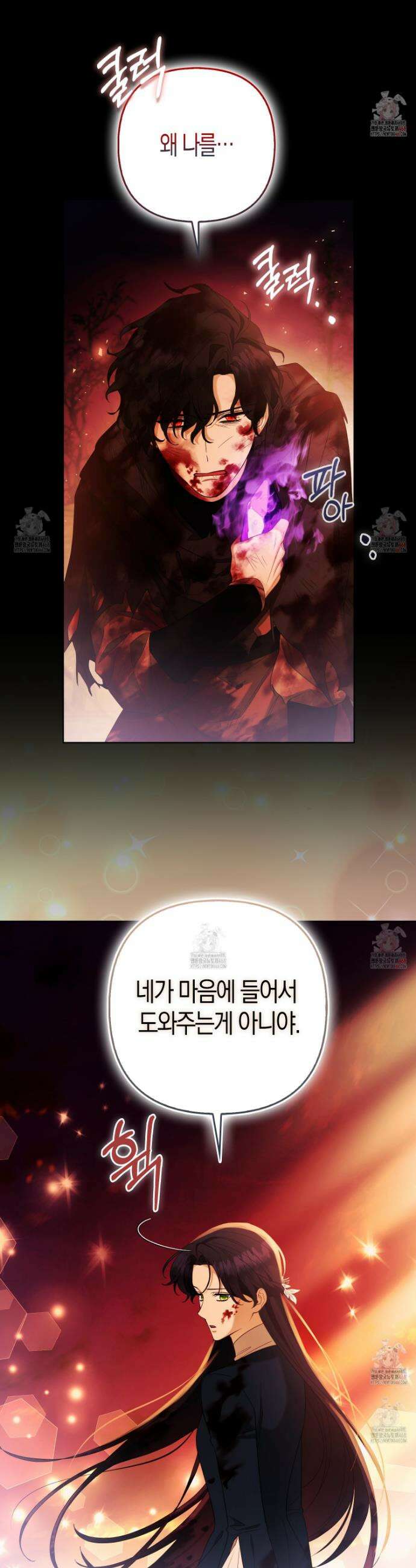 대공가의 여우 황녀님 79화 11
