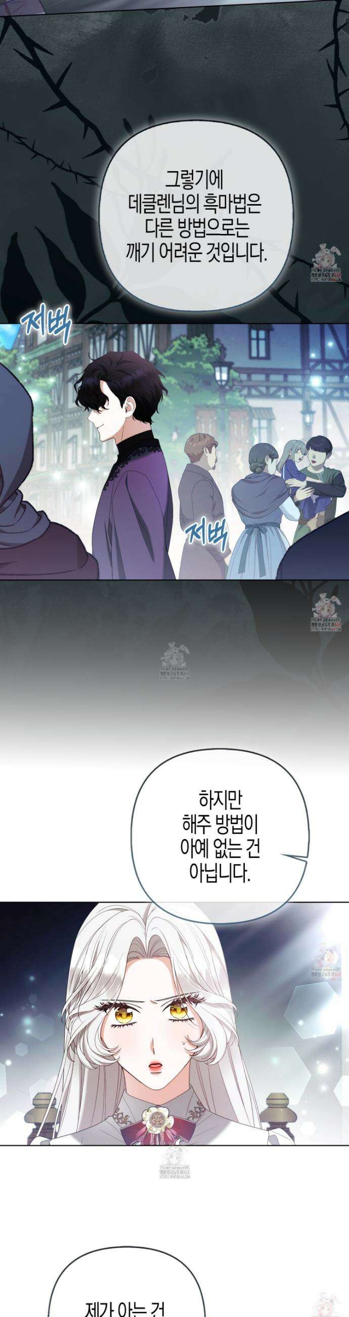 대공가의 여우 황녀님 79화 26