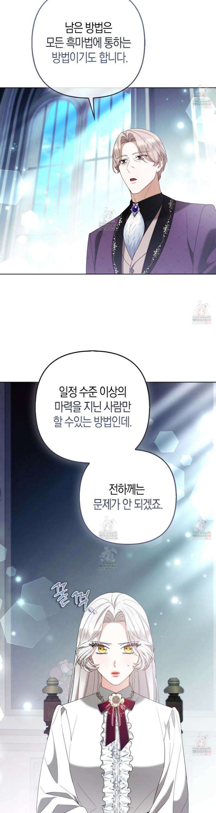 대공가의 여우 황녀님 79화 29