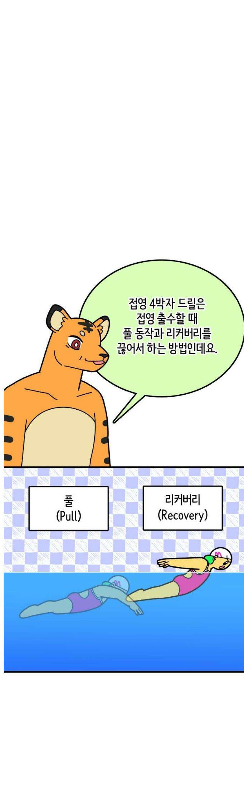 수영만화일기 시즌3 43화 접영 4박자 드릴 5
