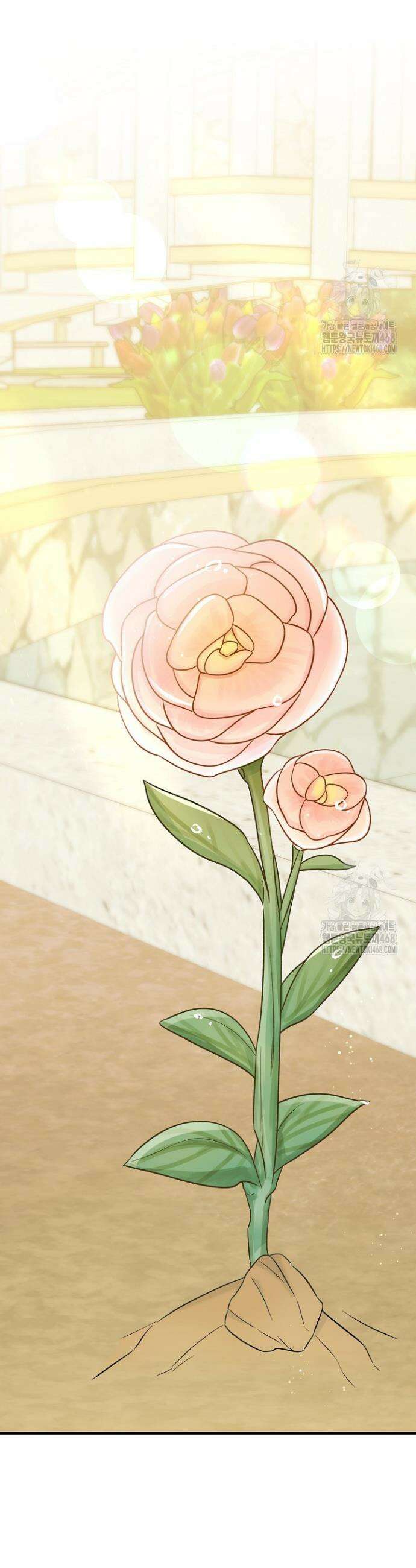 전쟁광 남편의 아이를 빼돌렸다 128화 48