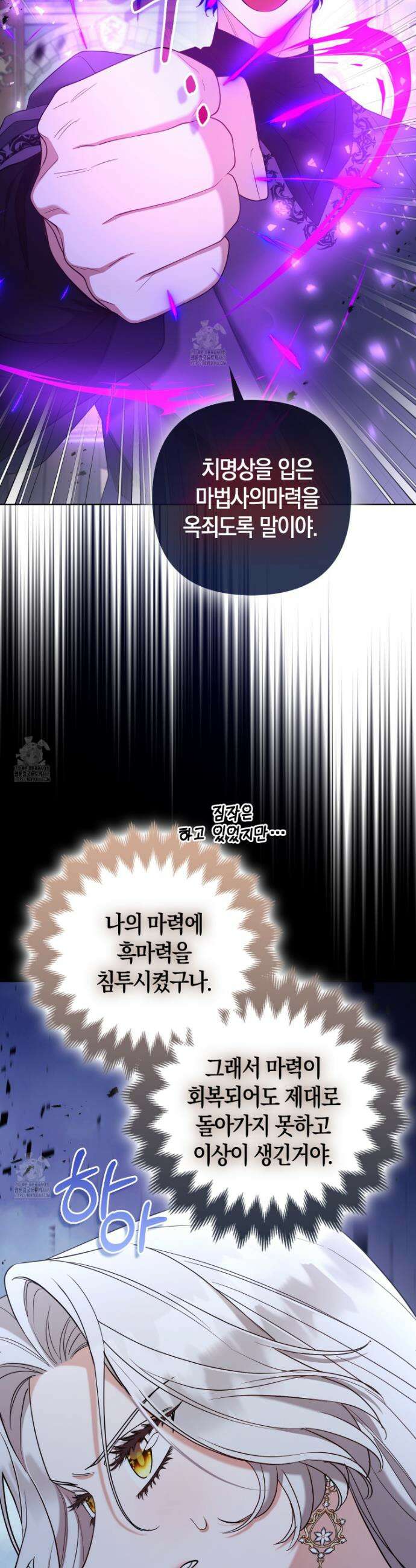 대공가의 여우 황녀님 80화 22