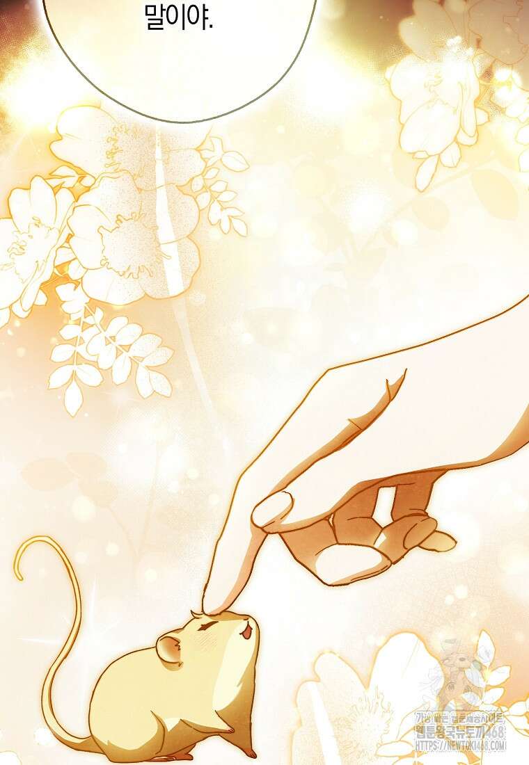 신데렐라는 이 멧밭쥐가 데려갑니다 17화 20