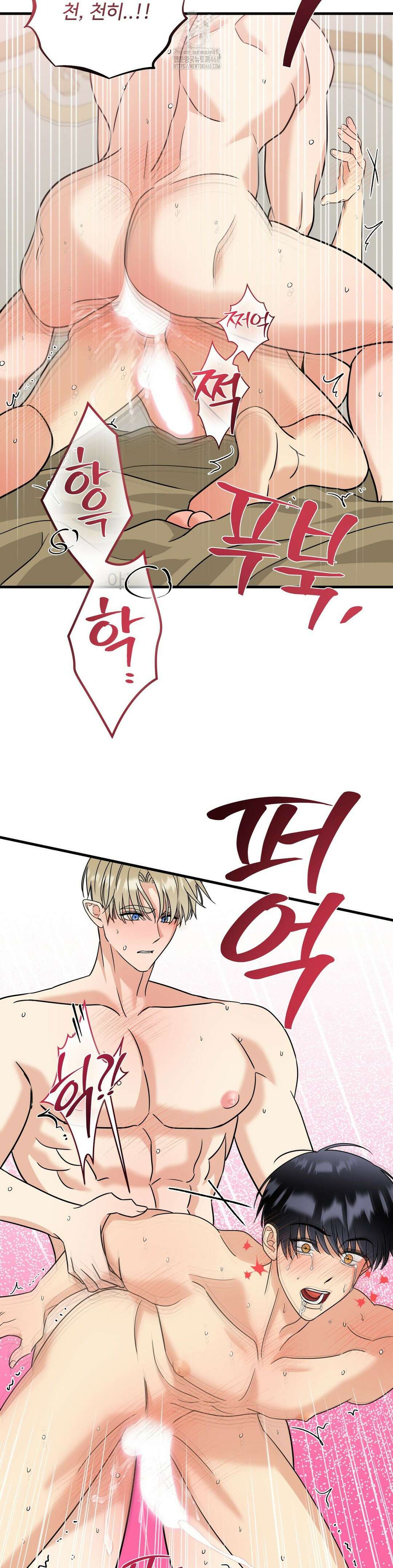 페어리 페어링 67화 12