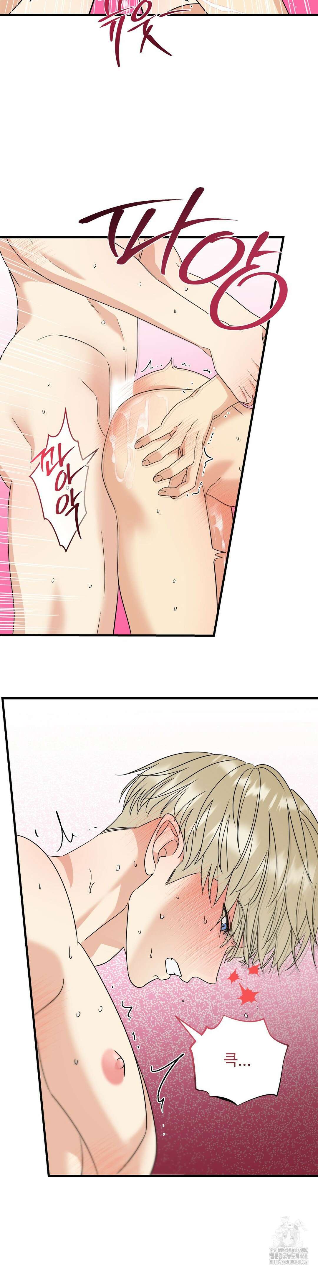 페어리 페어링 67화 13