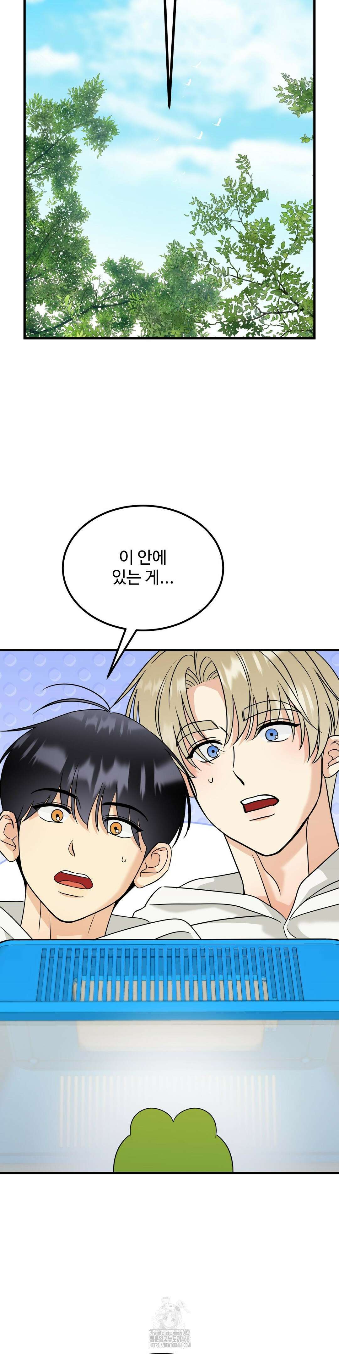 페어리 페어링 67화 26