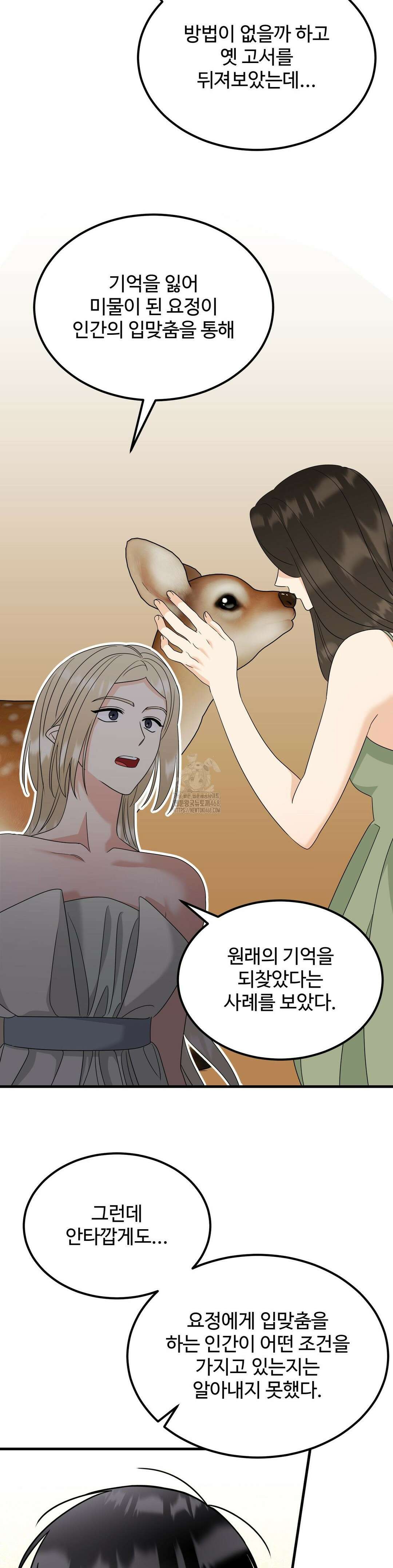 페어리 페어링 67화 29