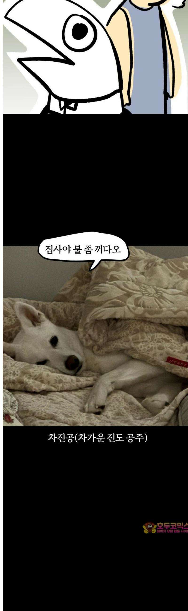 개집사 102화: 차가운도시진도 14