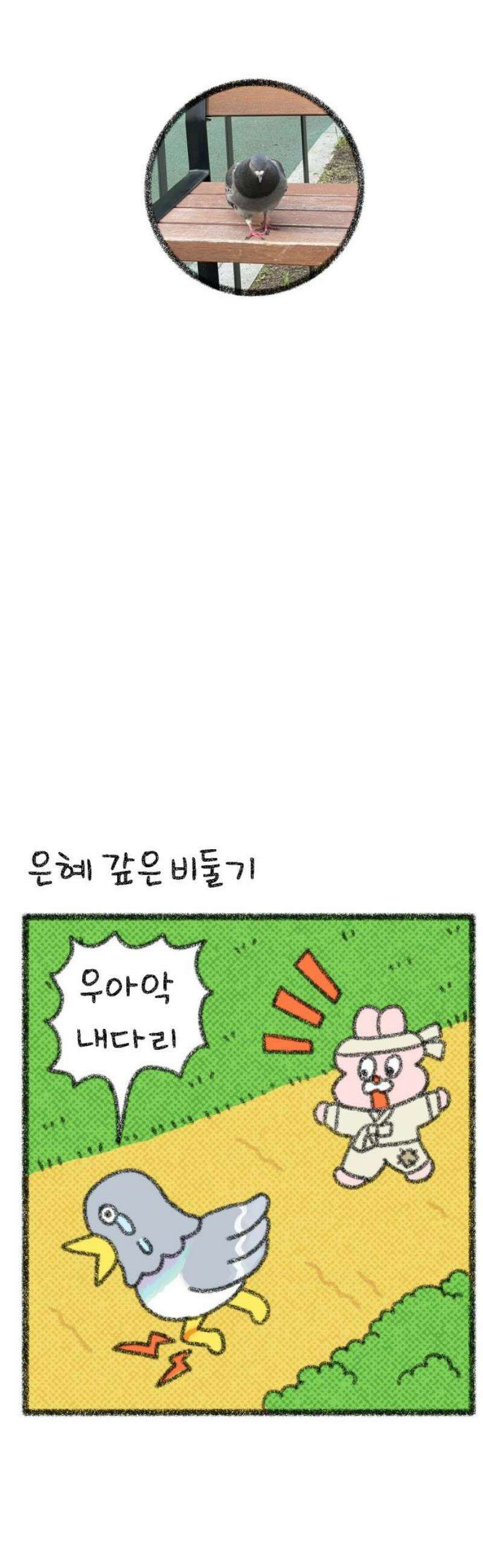 호호와 거난이 무삭제판 34화 비둘기와의 인연 14