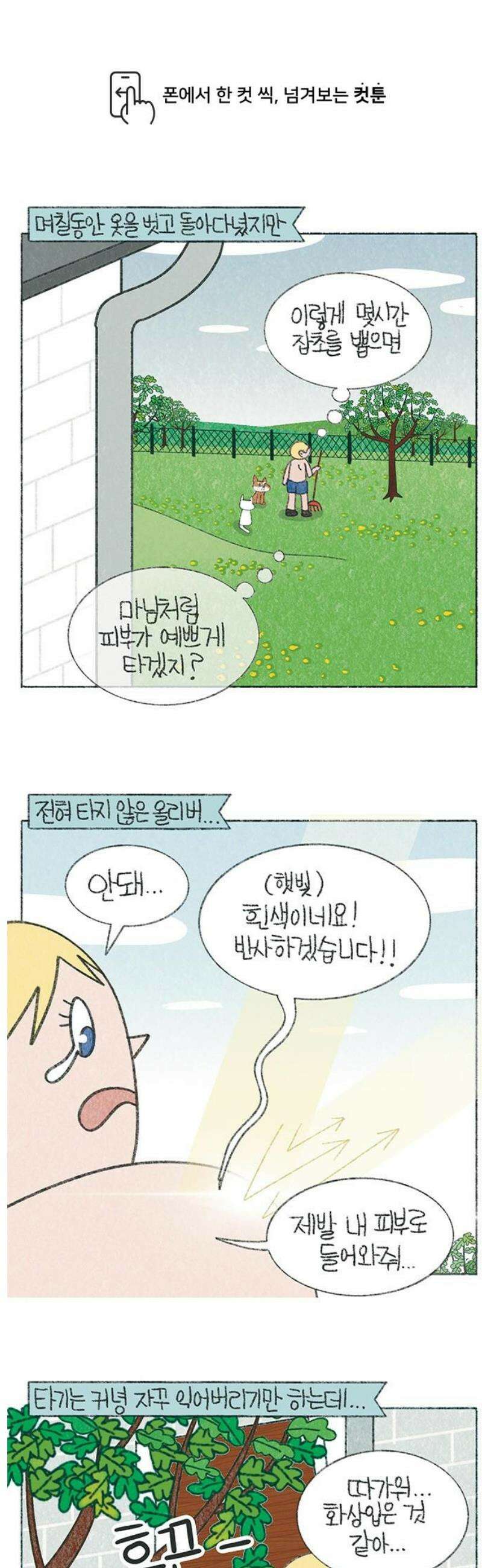 마님이네 미국 시골집 이야기 192화 미국에서 피부가 타면 겪는 일 (2) 1