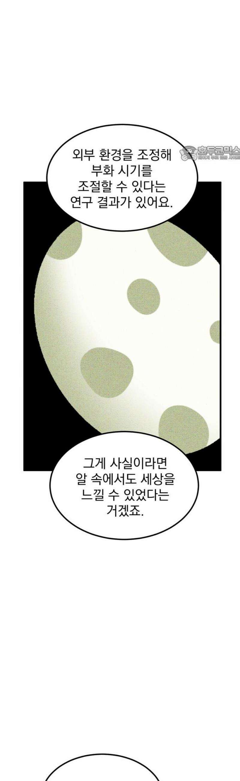 티라노 노경수 13크아앙 39