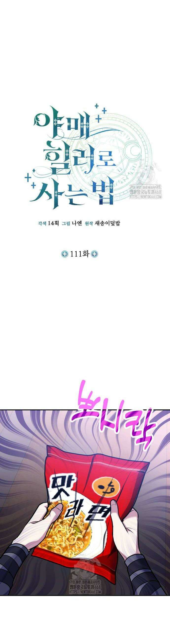 야매 힐러로 사는 법 111화 10