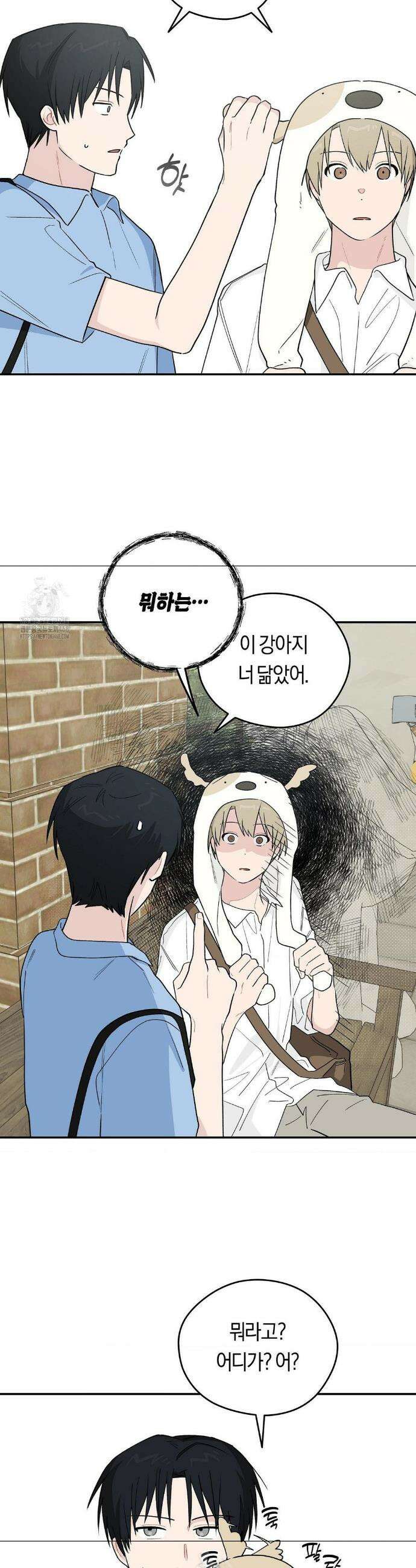 비상! 청춘기록부 20화 5