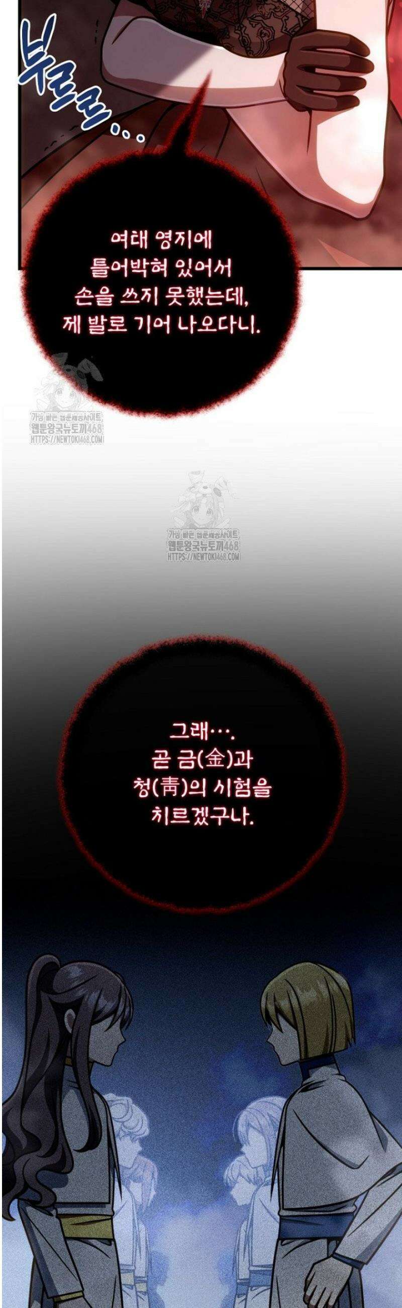 이 나라를 없앨 예정인데요 44화 11