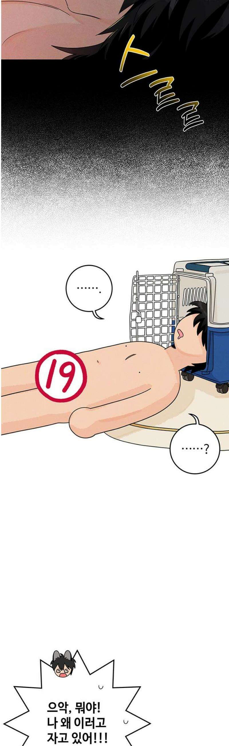 요괴삼월 19화 8