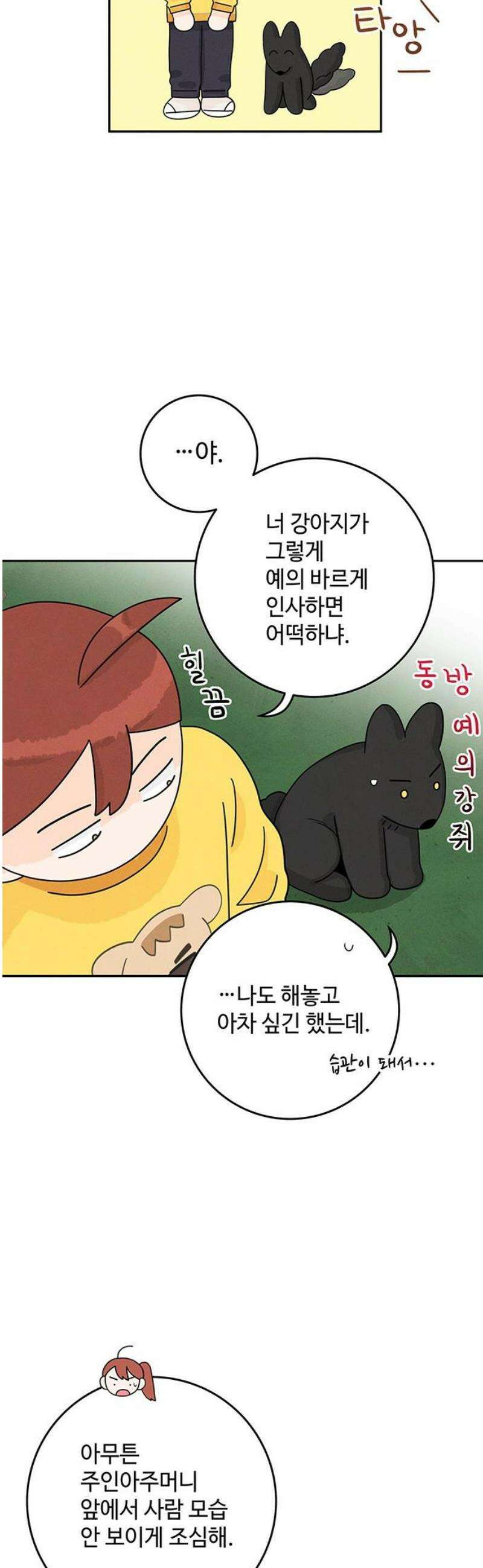 요괴삼월 19화 14