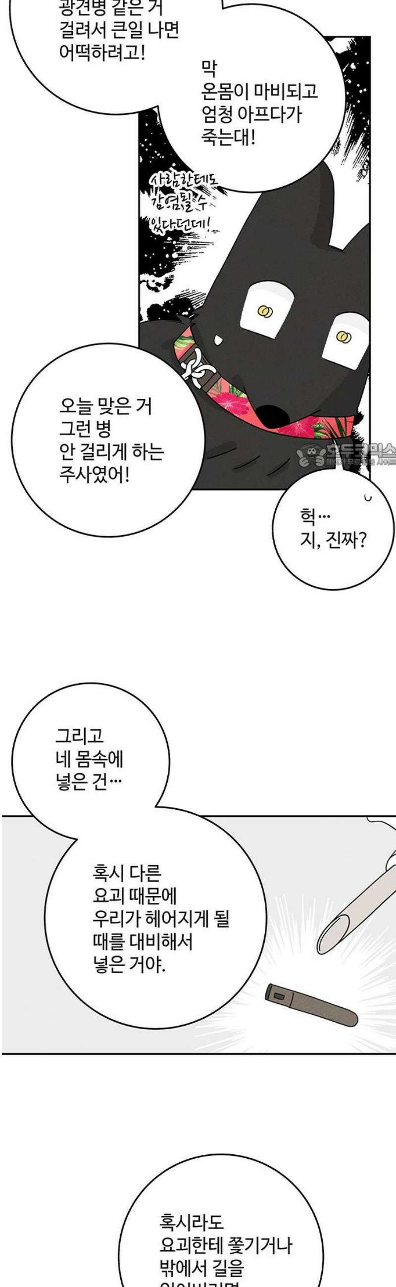 요괴삼월 19화 26