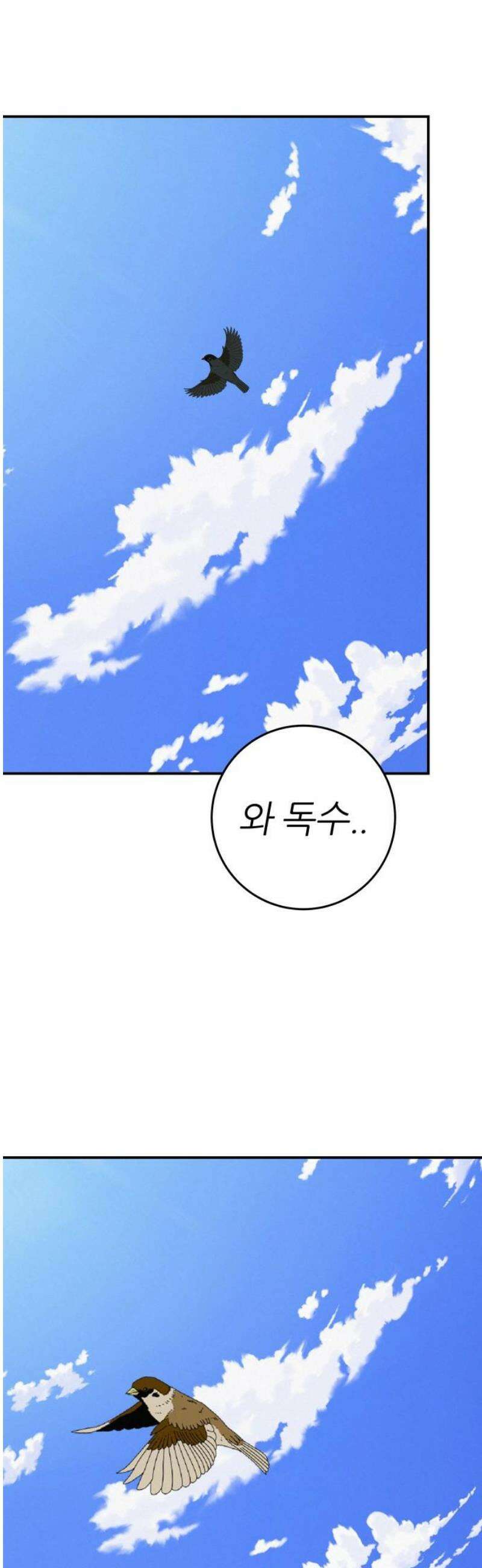 뽀대작렬 74화． 원상천 다리밑에서 42