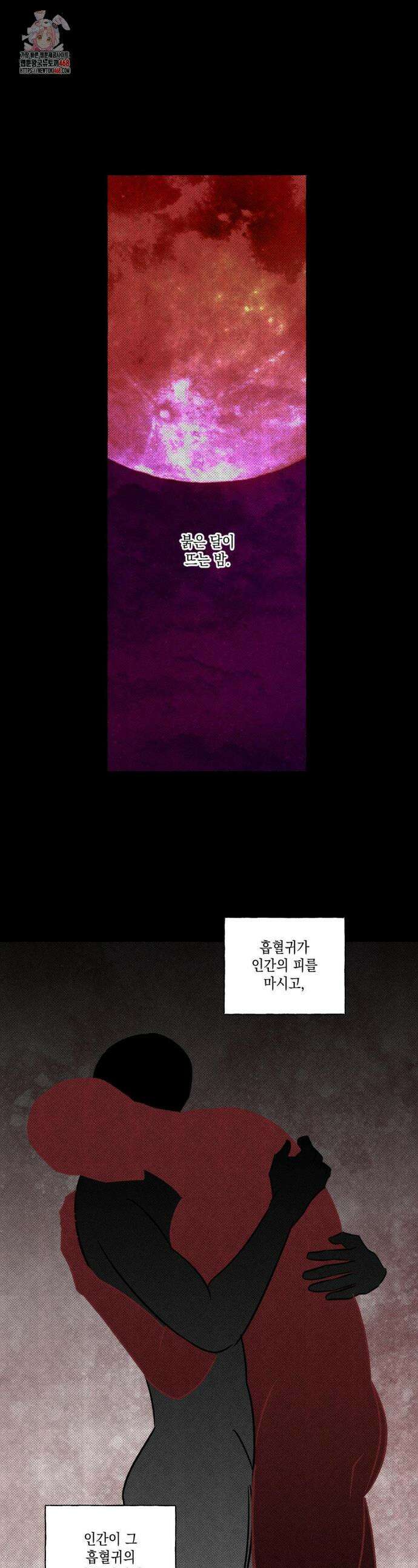 뼈와 꽃잎 55화 1