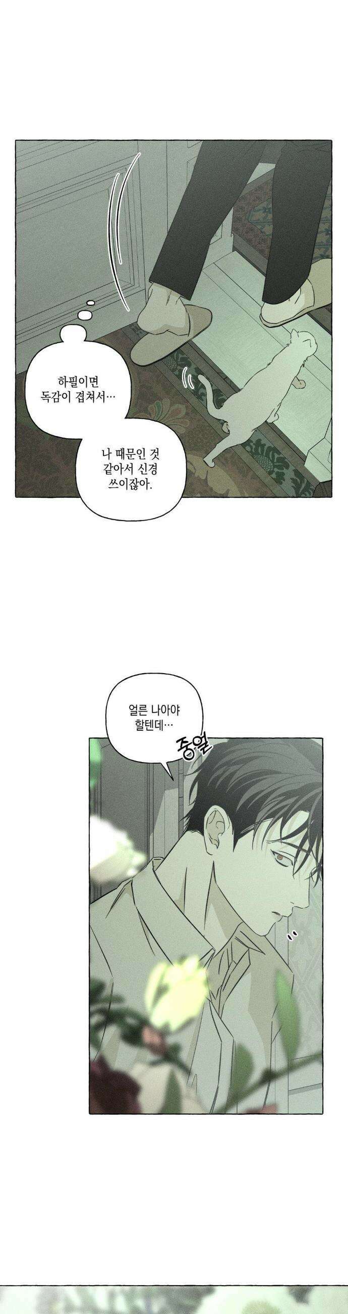 뼈와 꽃잎 55화 16