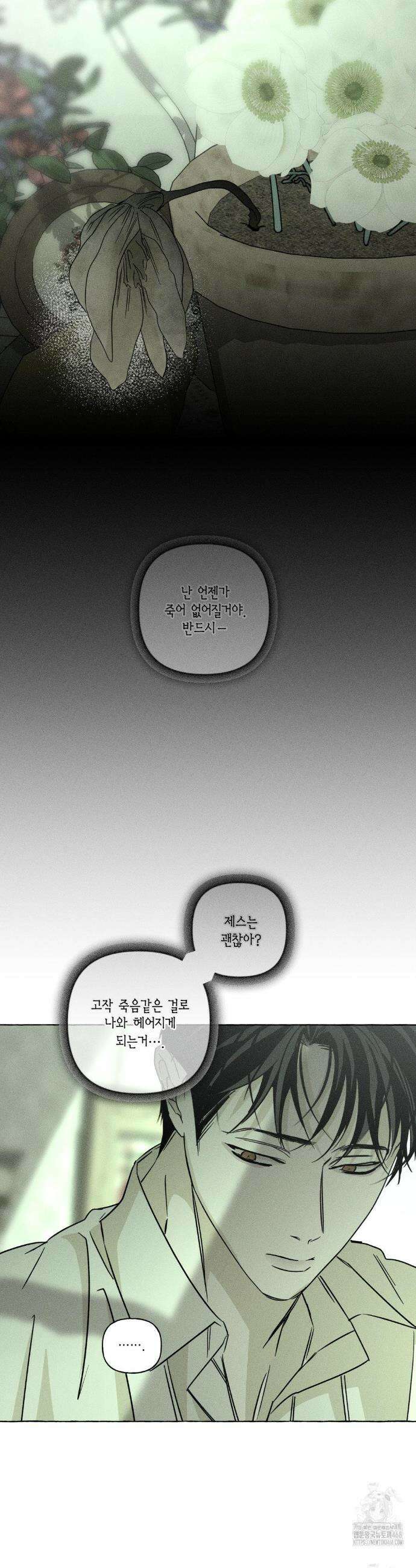 뼈와 꽃잎 55화 17