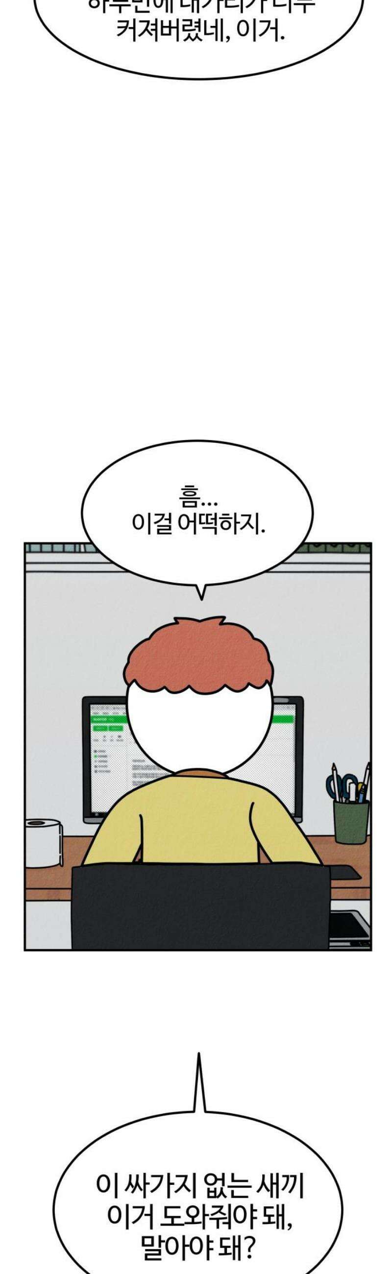 라이브의 짐승들 11화 12
